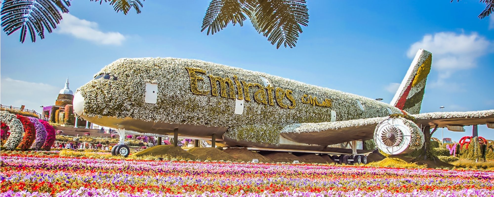 87fe888ad84ca93587d655d433df6de5-2862-dubai-dubai-miracle-garden-01