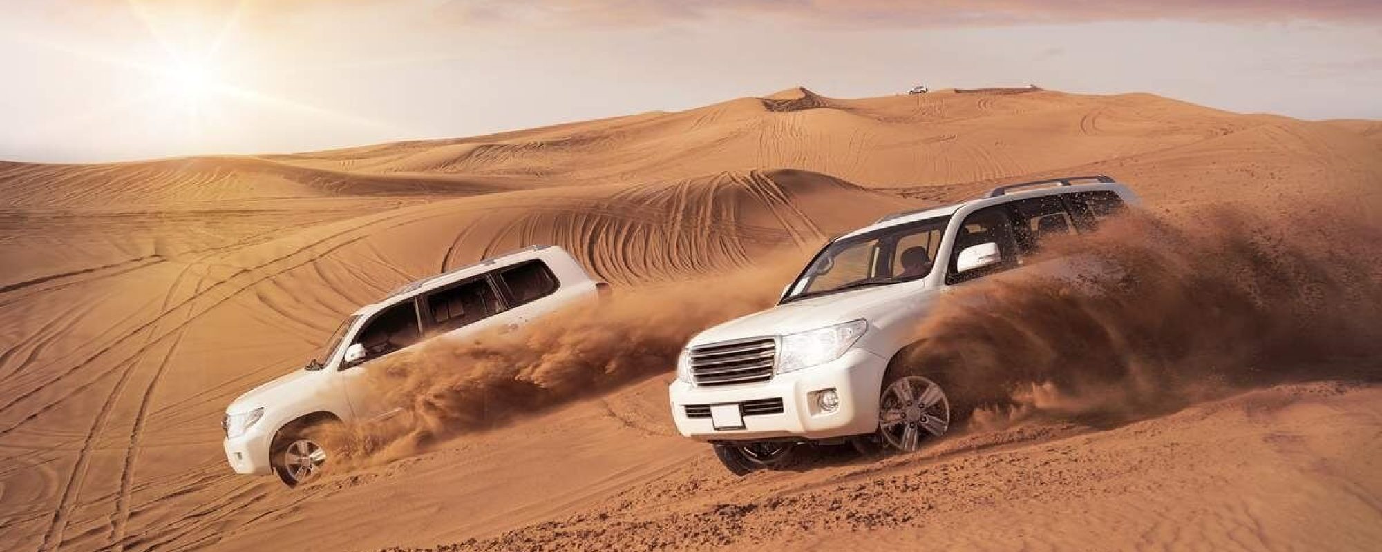 Abu-Dhabi-Morning-Desert-Safari-Tour (1)