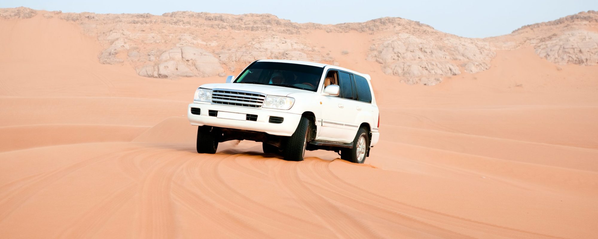 Desert safari. United Arab Emirates