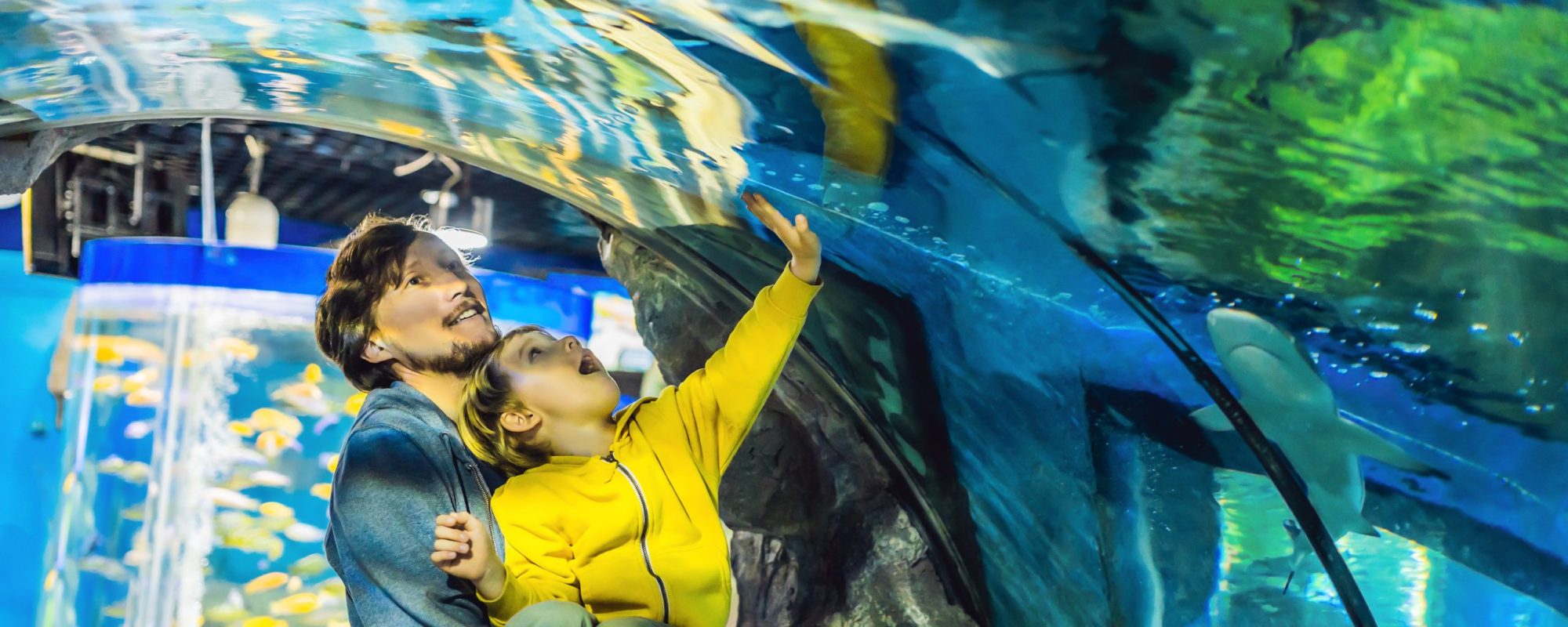 Father and son look at the fish in the aquarium in oceanarium.