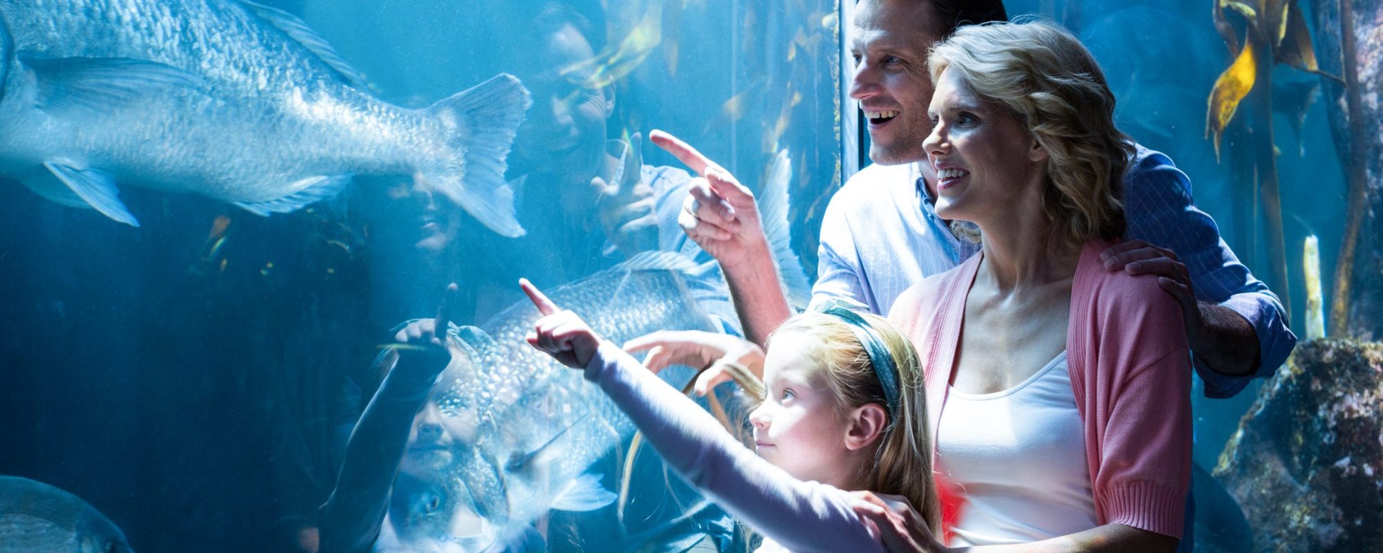 Happy family pointing a fish in the tank at the aquarium