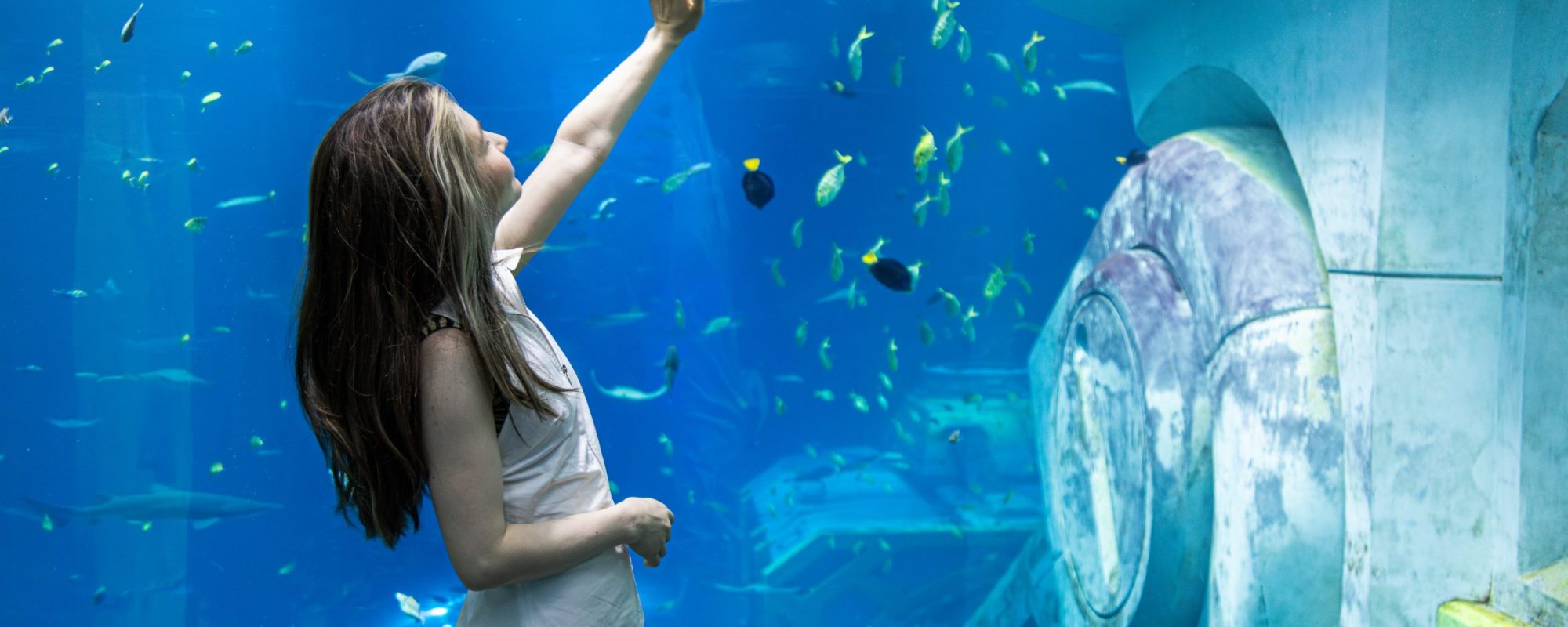 Caucasian woman in white dress reaches out towards fish in a large aquarium, surrounded by underwater structures